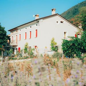 B&B Al Giardino Dei Laghi Revine Lago Exterior photo