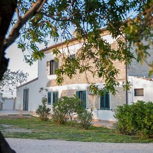 Pietra Montecorvino Masseria Piana Cimino Bed & Breakfast Exterior photo