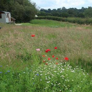 Little Idyll Shepherds Hut チェスター Exterior photo