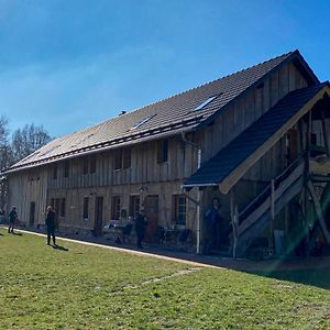 ブルク Scheunenherberge Schaefchenzaehlerei Bed & Breakfast Exterior photo