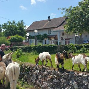 Morestel Basse-Cour De Montin Au 256 Chemin De La Rocaille A 38510 Vezeronce Curtin Bed & Breakfast Exterior photo