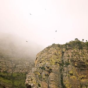 Cape Vulture Conservancy フッドスプルイト Exterior photo
