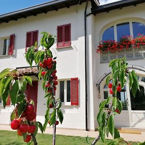 Codevilla La Mafalda In Oltrepo Bed & Breakfast Exterior photo