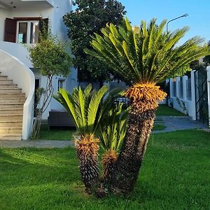 Quattromiglio Residenza Margot Bed & Breakfast Exterior photo