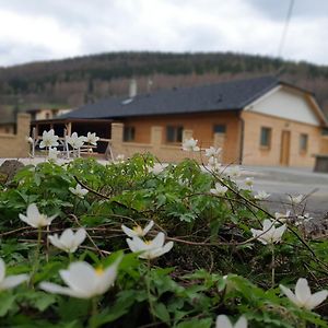 リポヴァー・ラーズニェ Chatatrucovna, Wellnesヴィラ Exterior photo