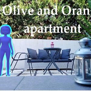 Olive And Orange Apartment ミストラ Exterior photo