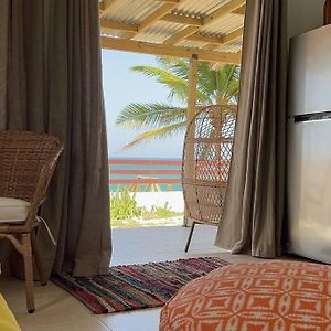 Casita Del Mar Oceanfront Romantic Retreat In Islote アレシボ Exterior photo