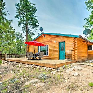 Red Feather Lakes Cabin With Wraparound Deck!ヴィラ Exterior photo