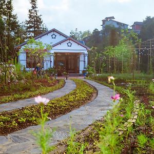 Thanh Truc Villa & Flower サパ Exterior photo
