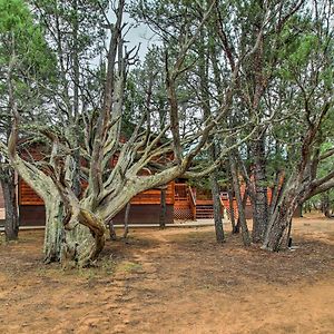 Overgaard Cabin Near Mogollon Rim And Hikingヴィラ Exterior photo