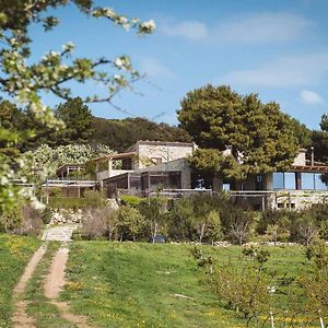 トレビザッチェ Masseria Agriturismo Torre Di Albidonaヴィラ Exterior photo