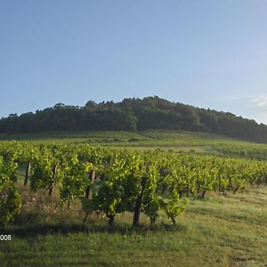 Ternand La Maison Du Vigneronヴィラ Exterior photo