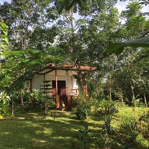 Baansuan Suksangob Farm Stay トラン Exterior photo