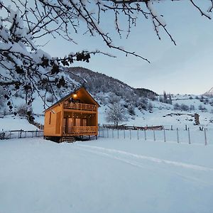 メスティア Wood Houseゲストハウス Exterior photo