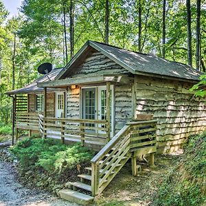 Cozy The Woodshop Cabin With Deck And Forest Views! ロビンズビル Exterior photo