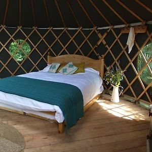 Fernhurst 'Oak' Yurt In West Sussex Countrysideヴィラ Exterior photo