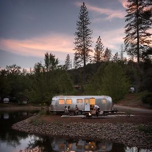 ホテル Autocamp Yosemite ミッドパインズ Exterior photo