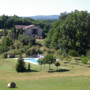 Castelnau-de-Montmiral La Petite Toscane, Gite Familial Avec Piscine Et Jacuzziヴィラ Exterior photo