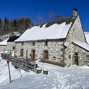 Maison De Campagne Spacieuse A Chastreix Avec Chemineeヴィラ Exterior photo