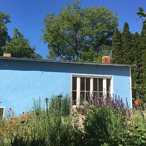 Gartenhaus Mit Sauna Am Buckowsee, Maerkische Schweizヴィラ Exterior photo