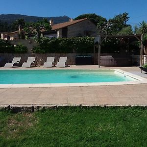 Magnifique Villa Piscine Propriano オルムト Exterior photo