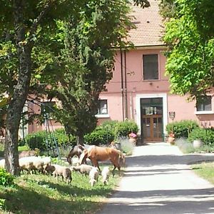 Country House Villa Delle Rose Agriturismo リオネーロ・イン・ヴルトゥレ Exterior photo