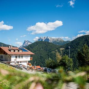 Mountain Residence Alpenhof - Company Hotel Alpenhof Kg Sas Der Gasser Renate ブレッサノーネ Exterior photo