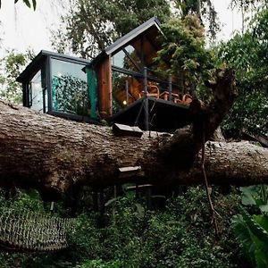 Doi Saket Wilderness Treehouseヴィラ Exterior photo