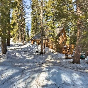 Tamarack Bear Valley Cabin - Ski To Cross Country Trails!ヴィラ Exterior photo