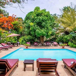 ホテル Hibiscus House Gambia Brufut Exterior photo