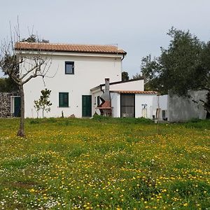 Casa Matilda - Abbasanta - Sardegna - Iun R4877アパートメント Exterior photo