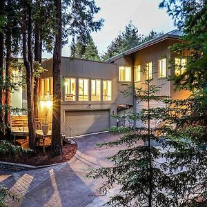 Stunning Guest House Nestled Within The Redwoods コルテ・マデラ Exterior photo