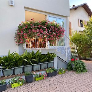 Appartement Le Jardin リンゴルスハイム Exterior photo