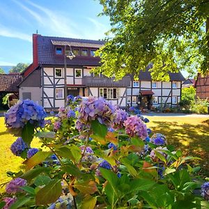 ハノーファーシュ・ミュンデンGaestehaus Am Weser-Radwegアパートメント Exterior photo