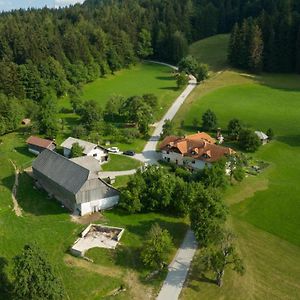 スロヴェニ・グラデツ Eco Tourist Farm Ravnjakヴィラ Exterior photo