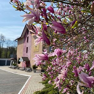 Jastrzębie Zdrój Obiekt "Czarny Rycerz"アパートホテル Exterior photo