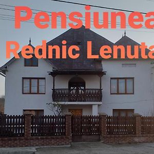 ホテル Pensiunea Rednic Lenuta Giulesti Exterior photo