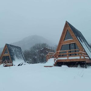 Cabins Tvishi Near Khvamli Mountainヴィラ Exterior photo