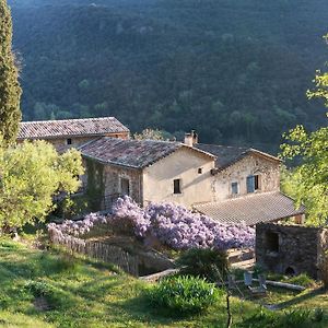 Mialet  Gite Le Cambon Bed & Breakfast Exterior photo