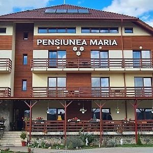 ホテル Pensiunea Maria Gilău Exterior photo