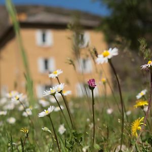 メリュイ Lou Prat Bed & Breakfast Exterior photo