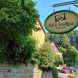 Bed And Breakfast Wehlen シュタット・ヴェーレン Exterior photo