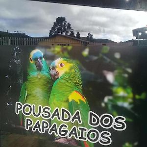 Pousada Dos Papagaios ボン・ジャルジン・ダ・セーハ Exterior photo
