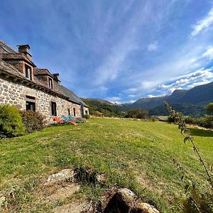 Le Falgoux L'Impradine, Grand Gite Vue Et Nature Splendidesヴィラ Exterior photo