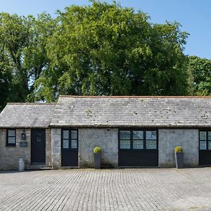 Altarnun The Lambing Shed, Cornwallヴィラ Exterior photo