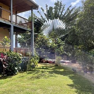 Villa Calme - Jardin Tropical - パリメ Exterior photo