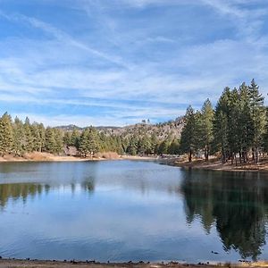 Green Valley Lake Hidden Jewel Of San Bernardino Mountainsヴィラ Exterior photo