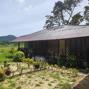 ホテル Nelmann'S Nipa Huts サン・ヴィチェンテ Exterior photo