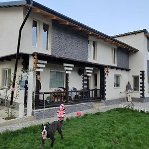 “ Casa Saryl “ Targu Ocnaアパートメント Exterior photo