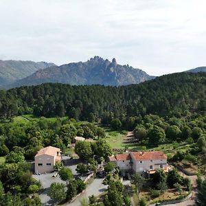 ゾンザ Les Hauts De Cavanello Bed & Breakfast Exterior photo